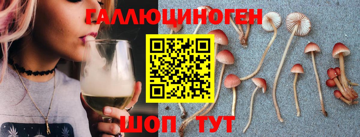 закладка  Вход с VPN  Уфа  Псилоцибиновые грибы мицелий 
